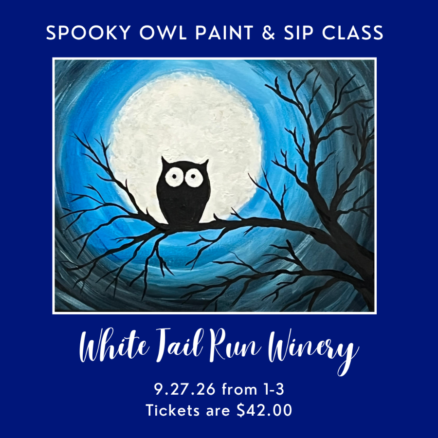 Spooky Owl 9.27.26
