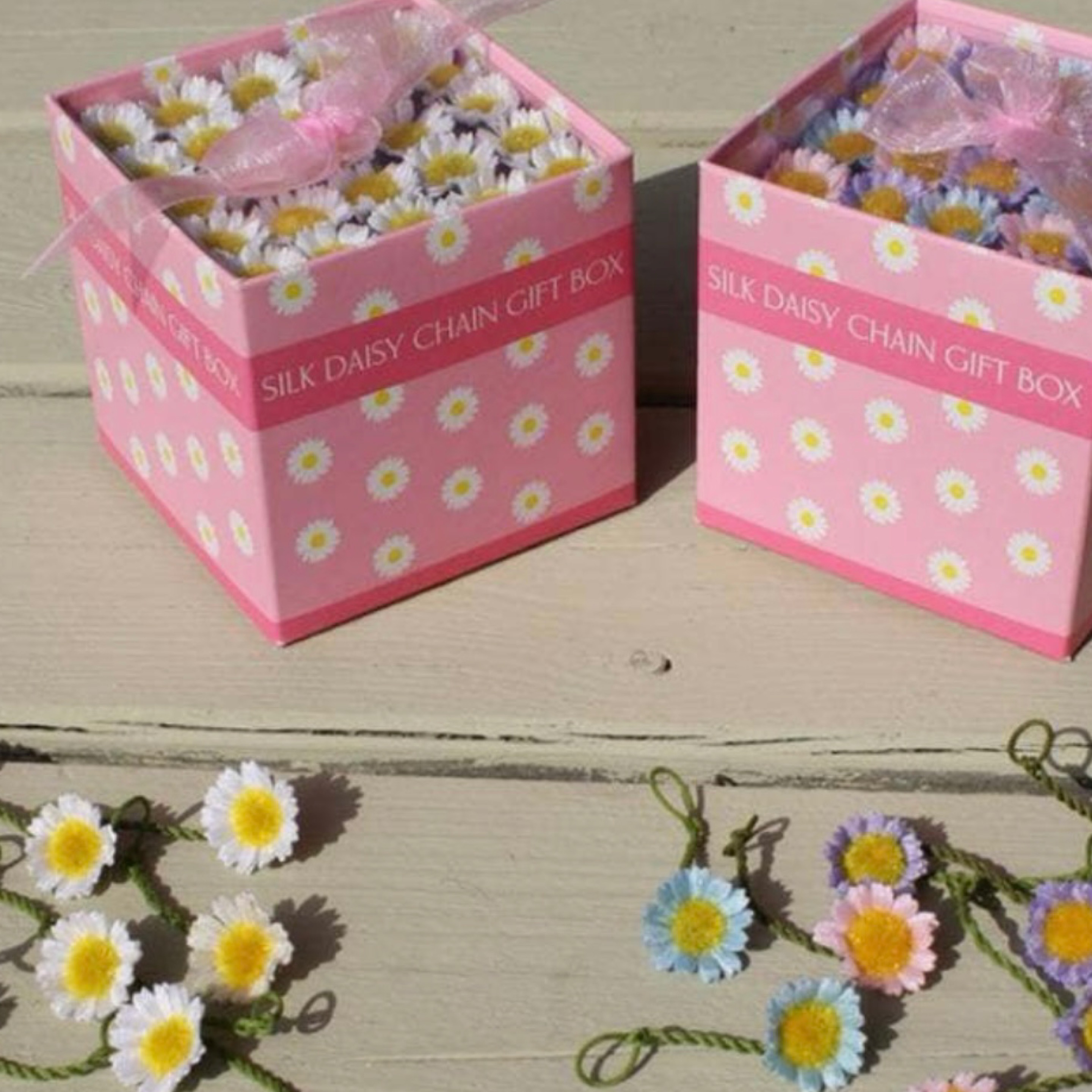 Daisy Square