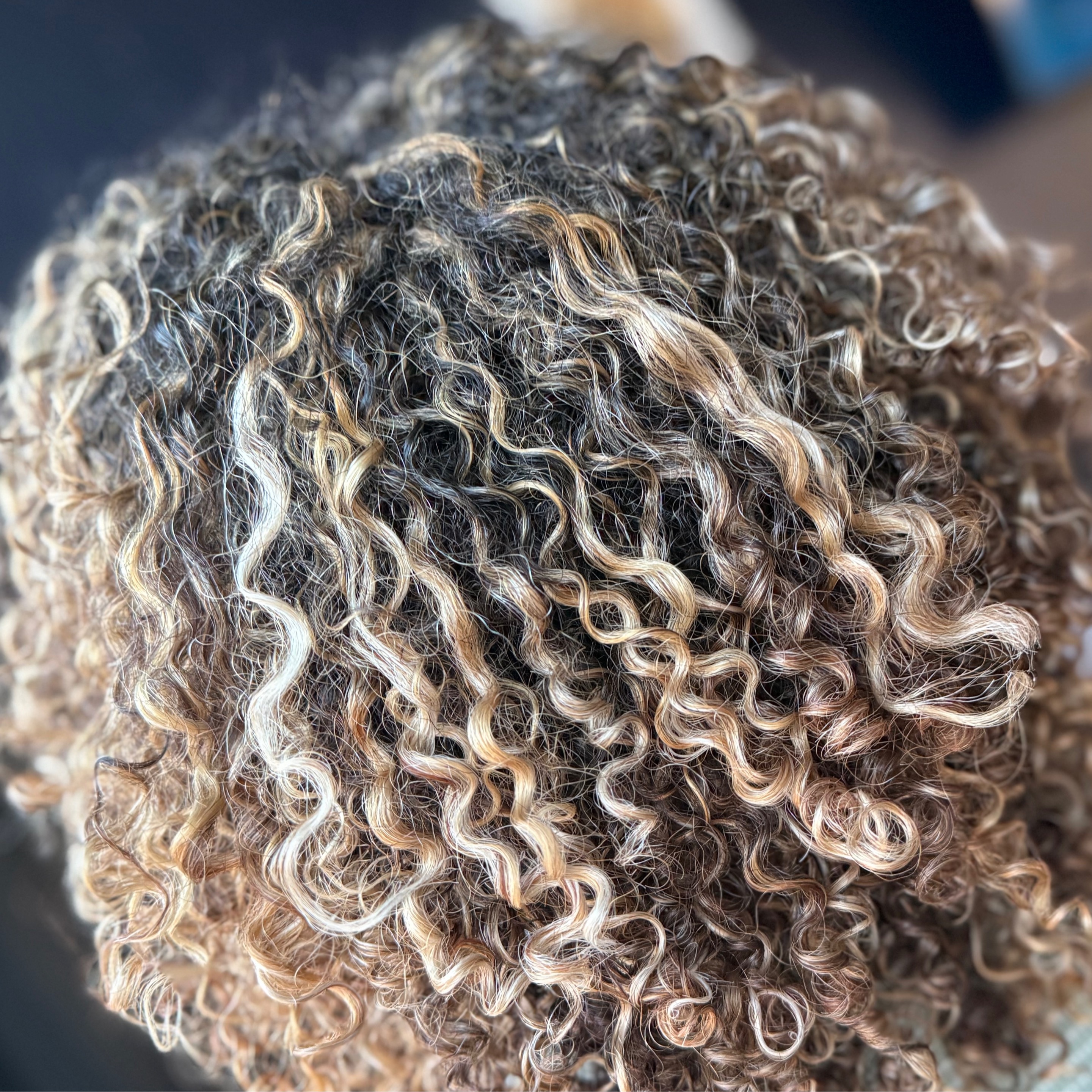 Curl Transformation Session