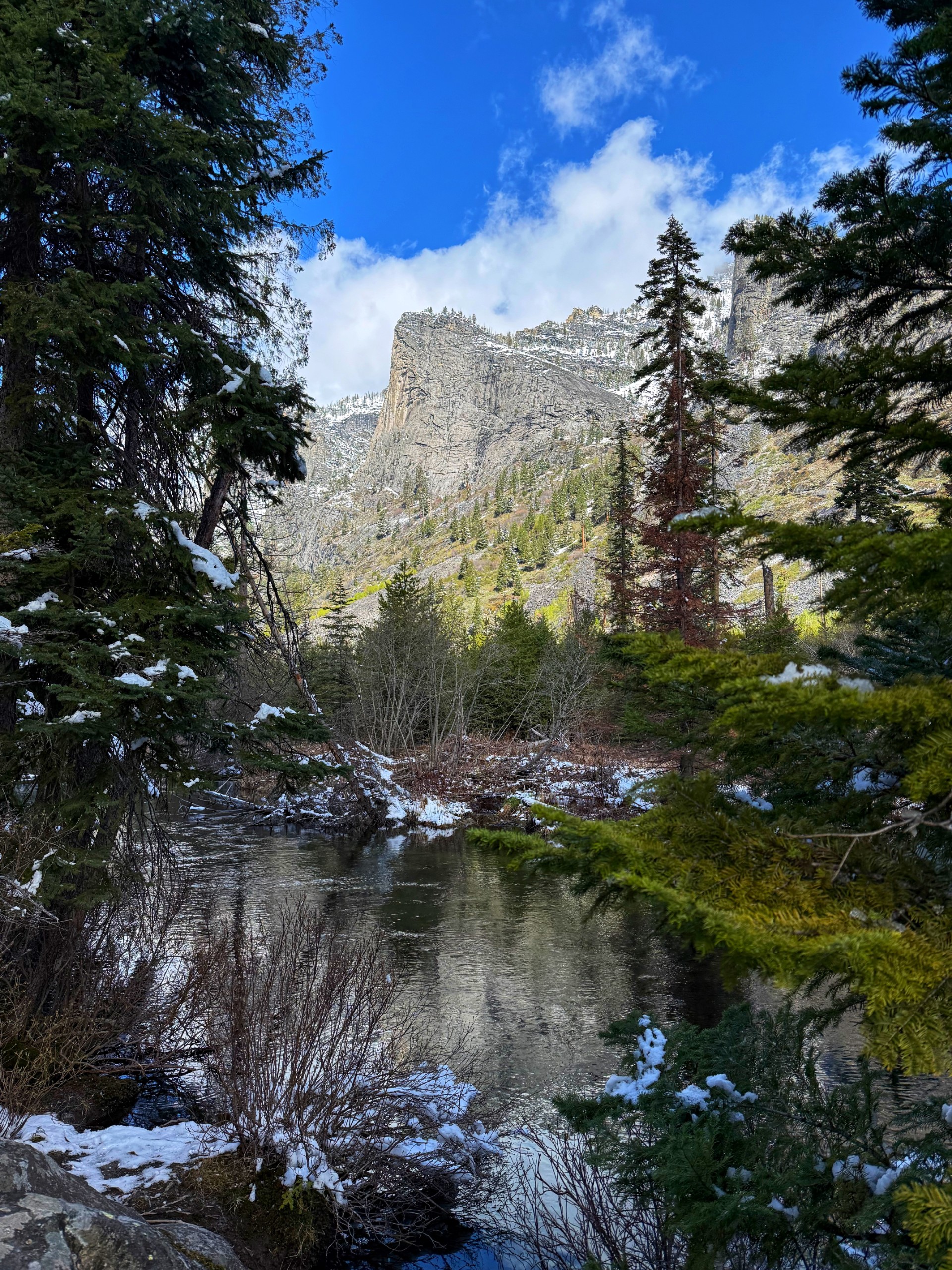 Bear Creek Trail, Stevensville, MT #1
