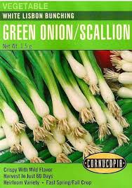 White Lisbon Bunching Green Onion/Scallion Seed Pack