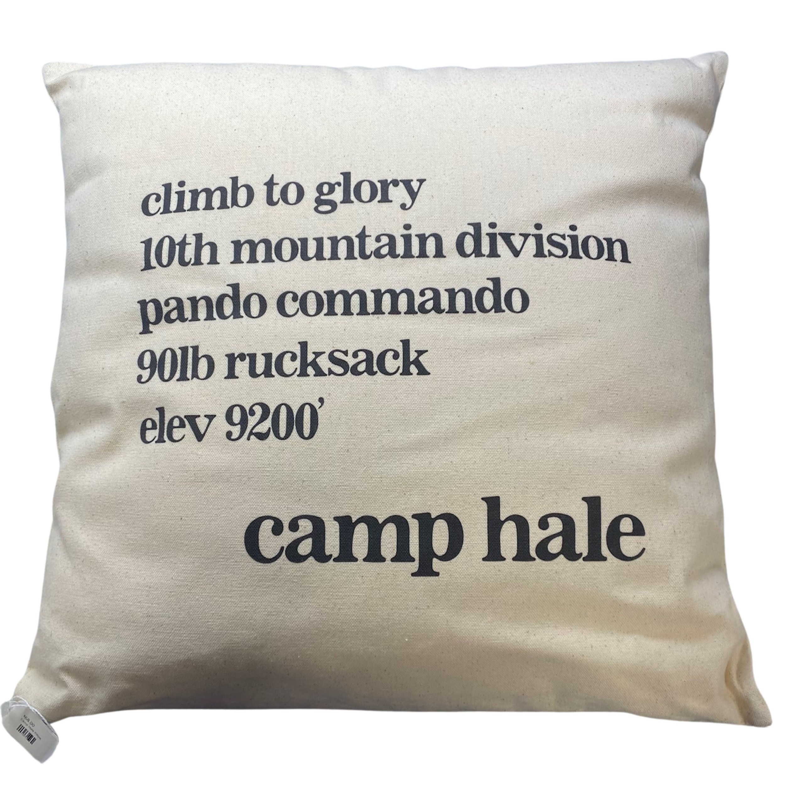 Camp Hale Pillow