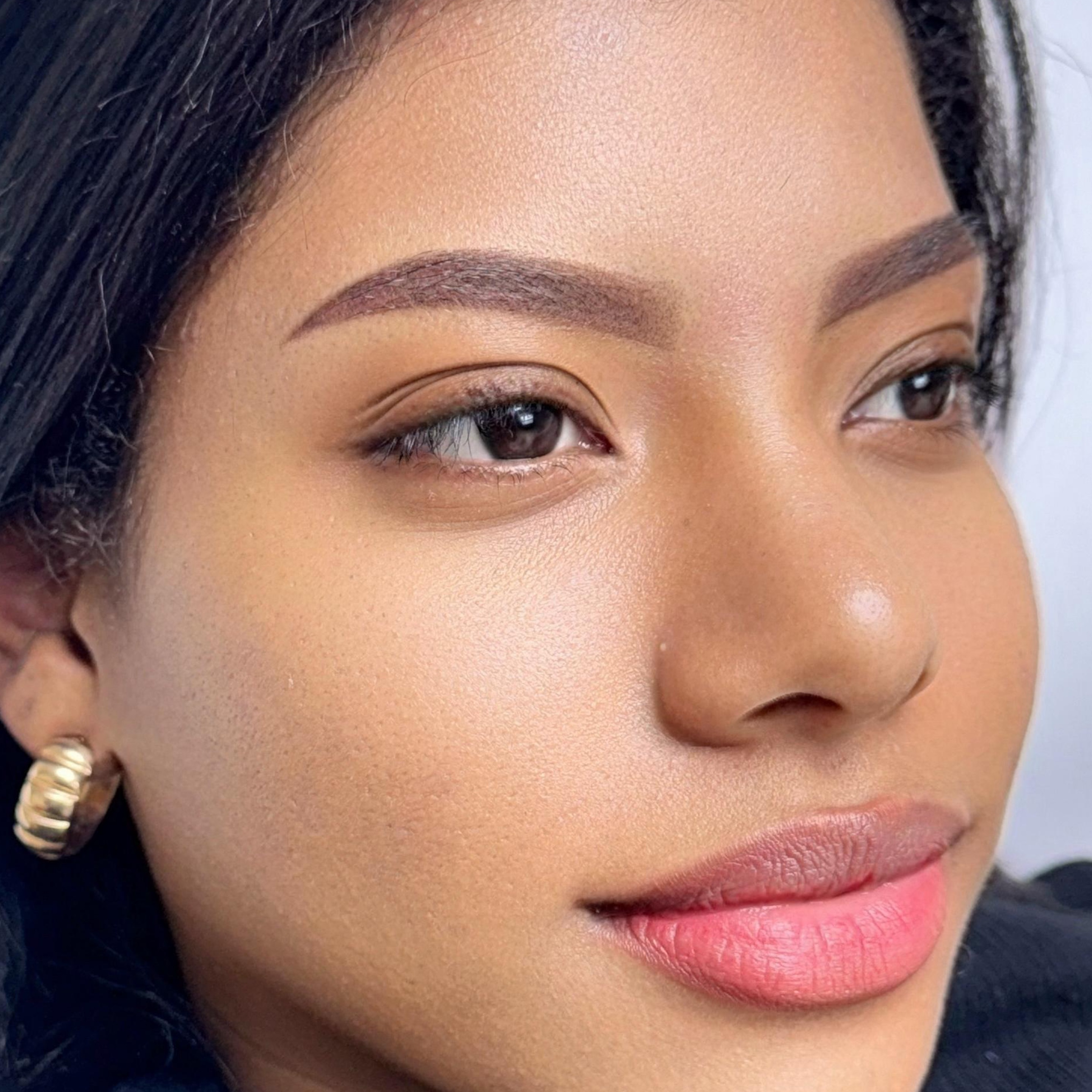 Retoque Anual de Cejas en Gold Studio, Allentown, PA
