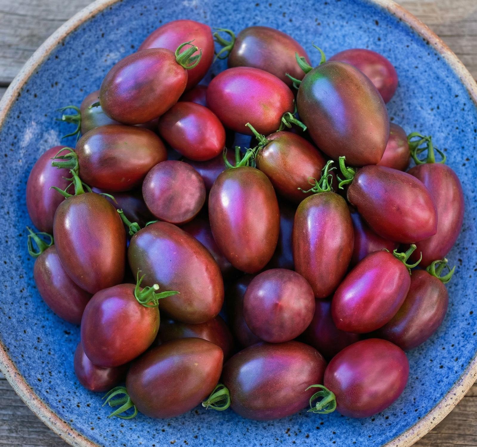Purple Ukrainian Vine Large Tomato – 2x Mini Plug Plants - High Yield Variety