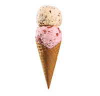 Double Scoop Ice Cream 10oz