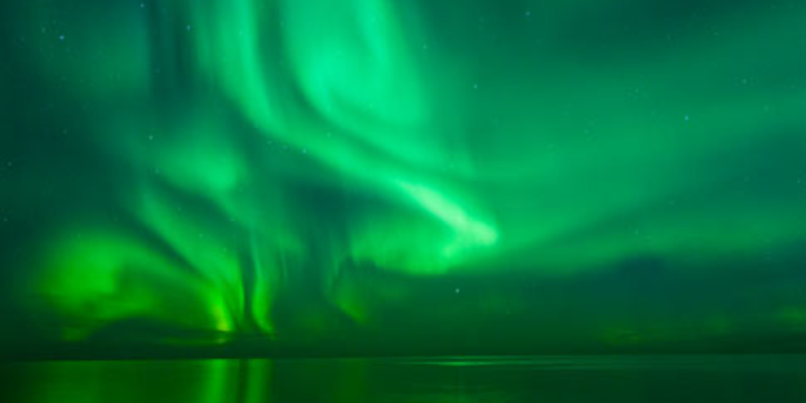 Borealis Suzuki Institute