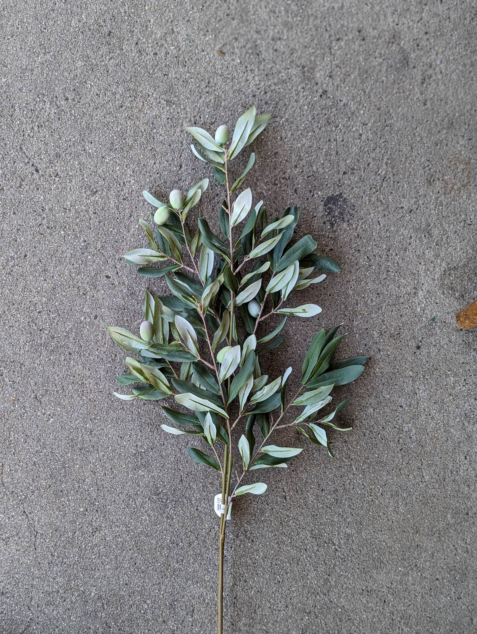 ANDALUSIA OLIVE BRANCH 38" - Nest & Nook Sonora Boutique