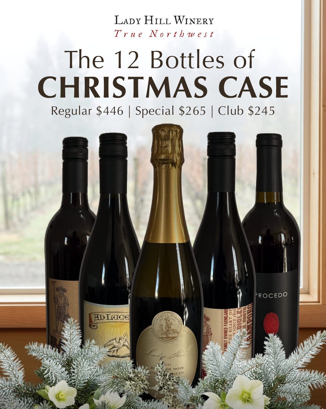 "12 Bottles of Christmas" Case