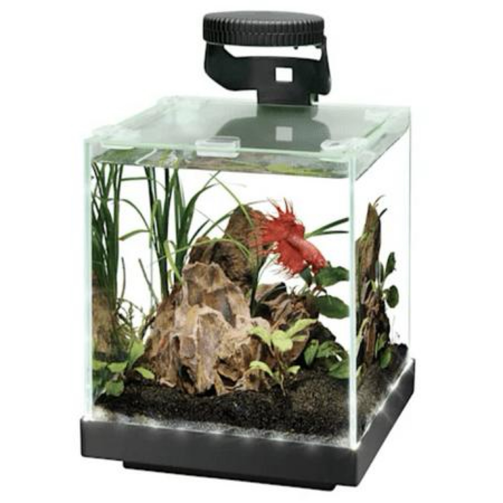 Aqueon EDGelit Cube Glass Aquarium with Built-in LED Lighting and Remote