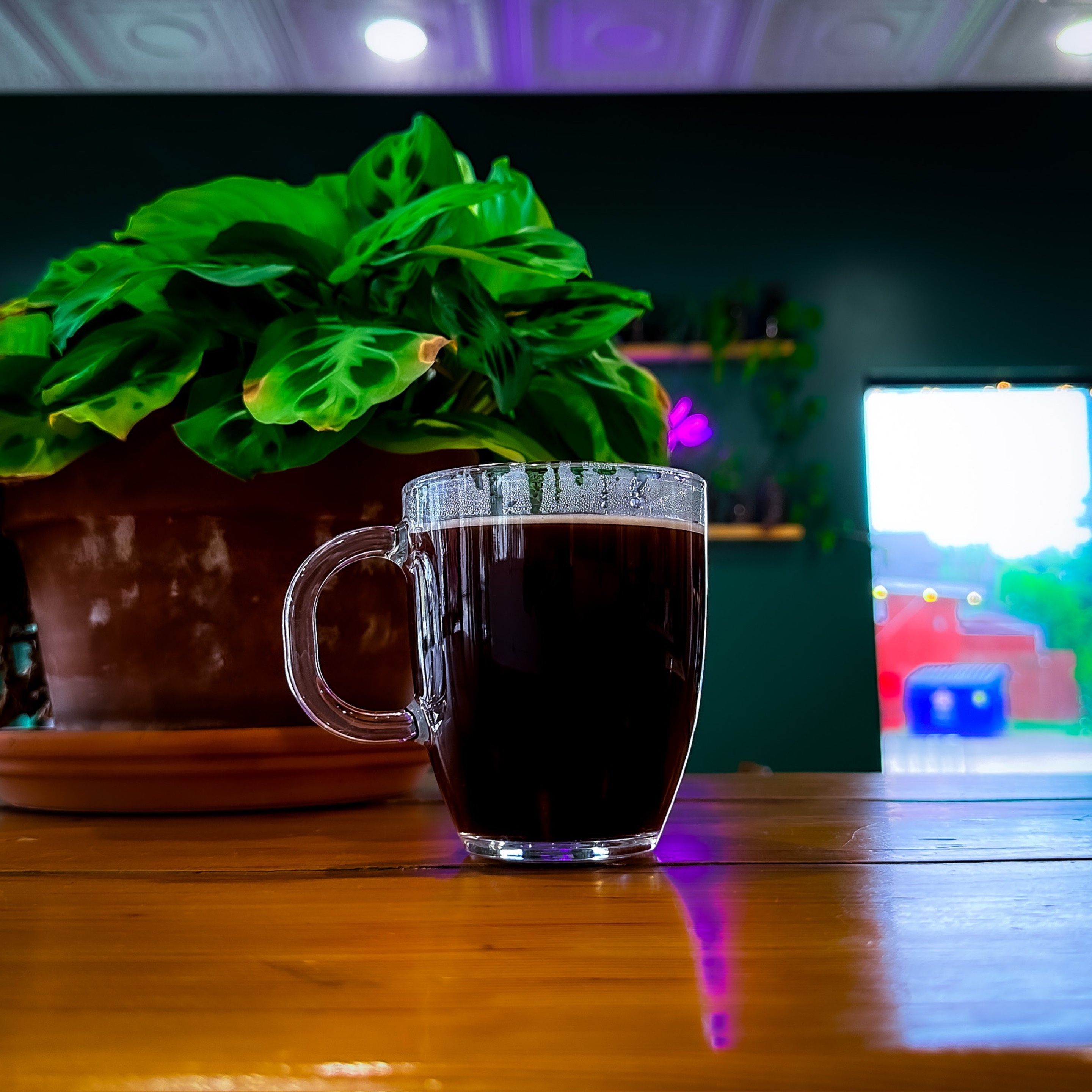 Eden’s Brew Box