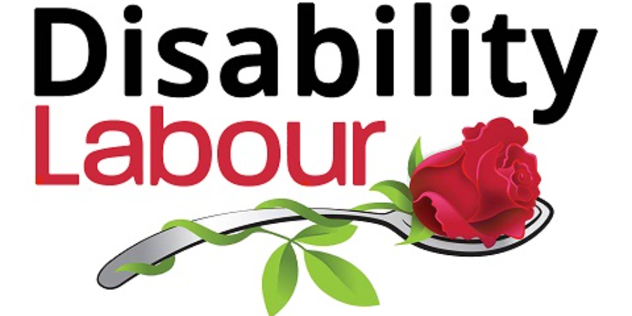 Help support Disability Labour