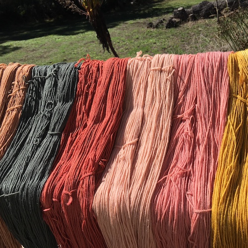 Class - Adventures in Mushroom Dyeing with Michael Spurgeon