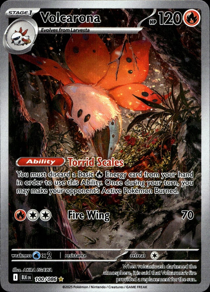 Volcarona - SV10.5B 100/86