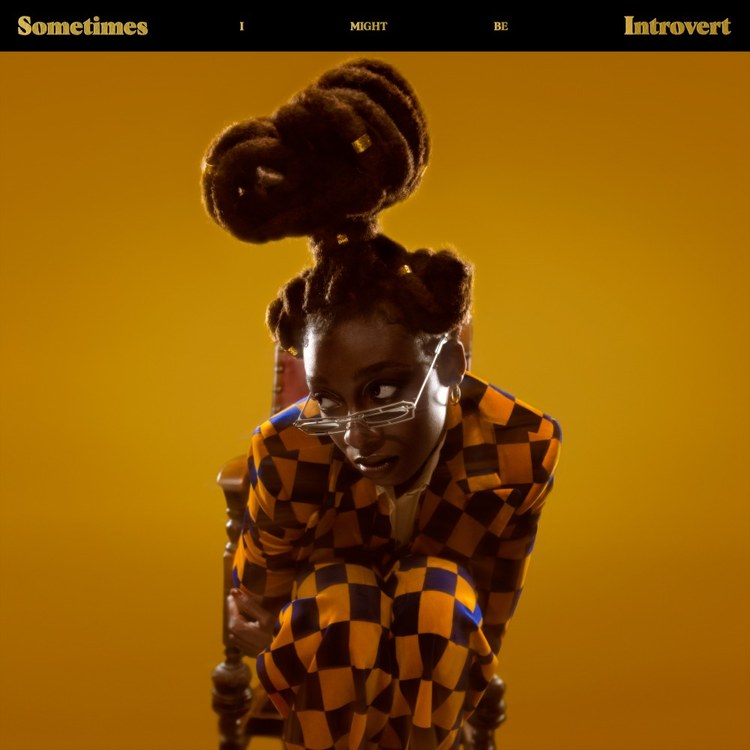Little Simz - Sometimes I Might Be Introvert by Unknown Artist - View 1