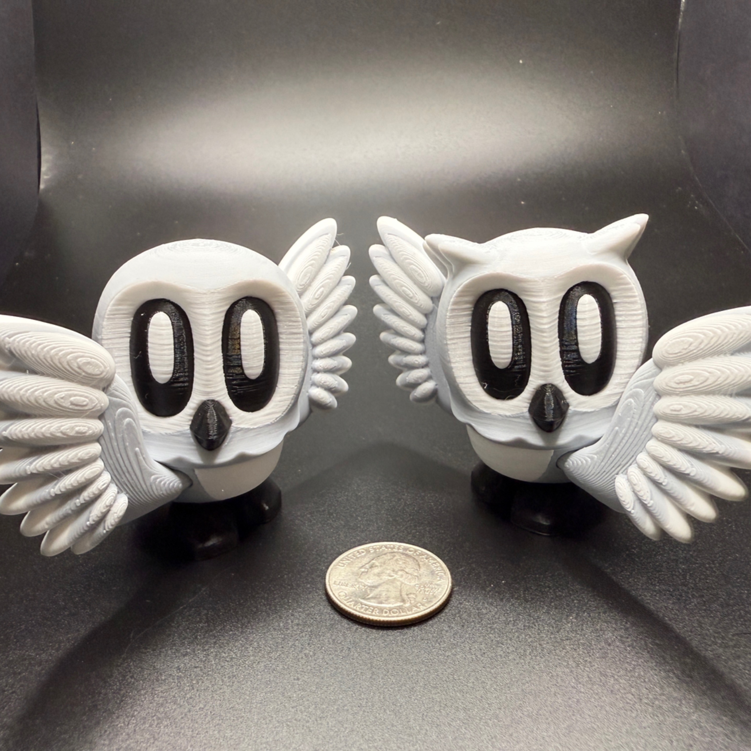 Owl wings out