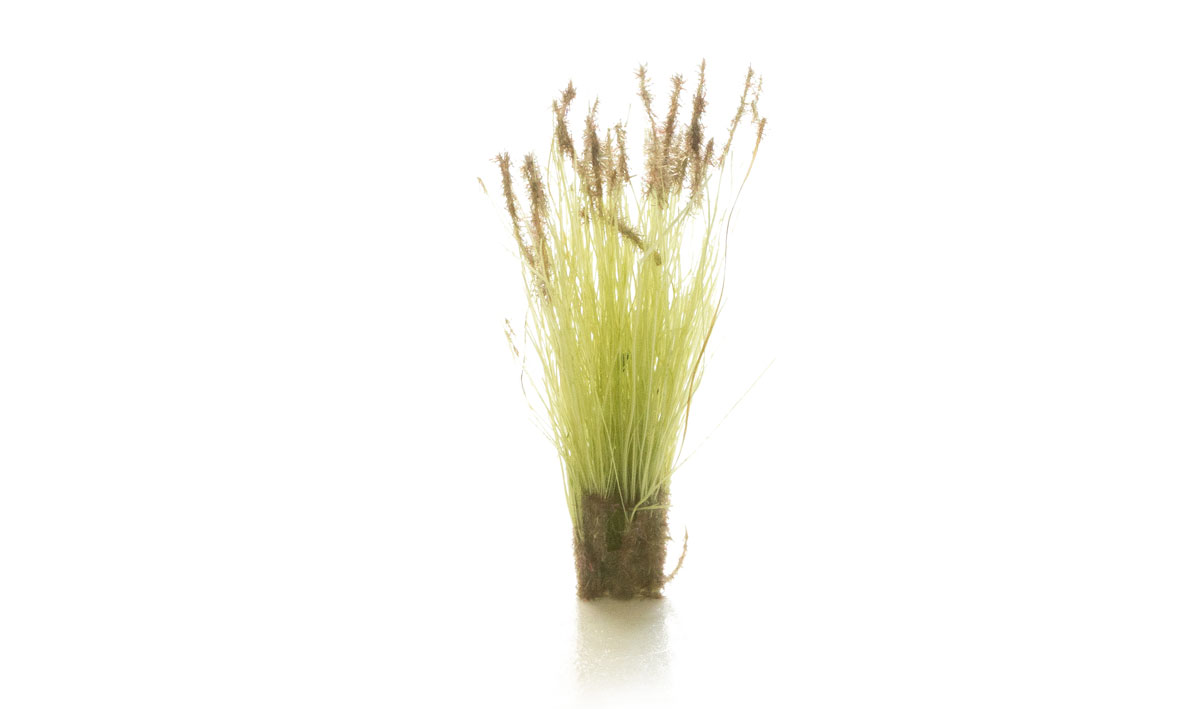 All Game Terrain Cattails G6633