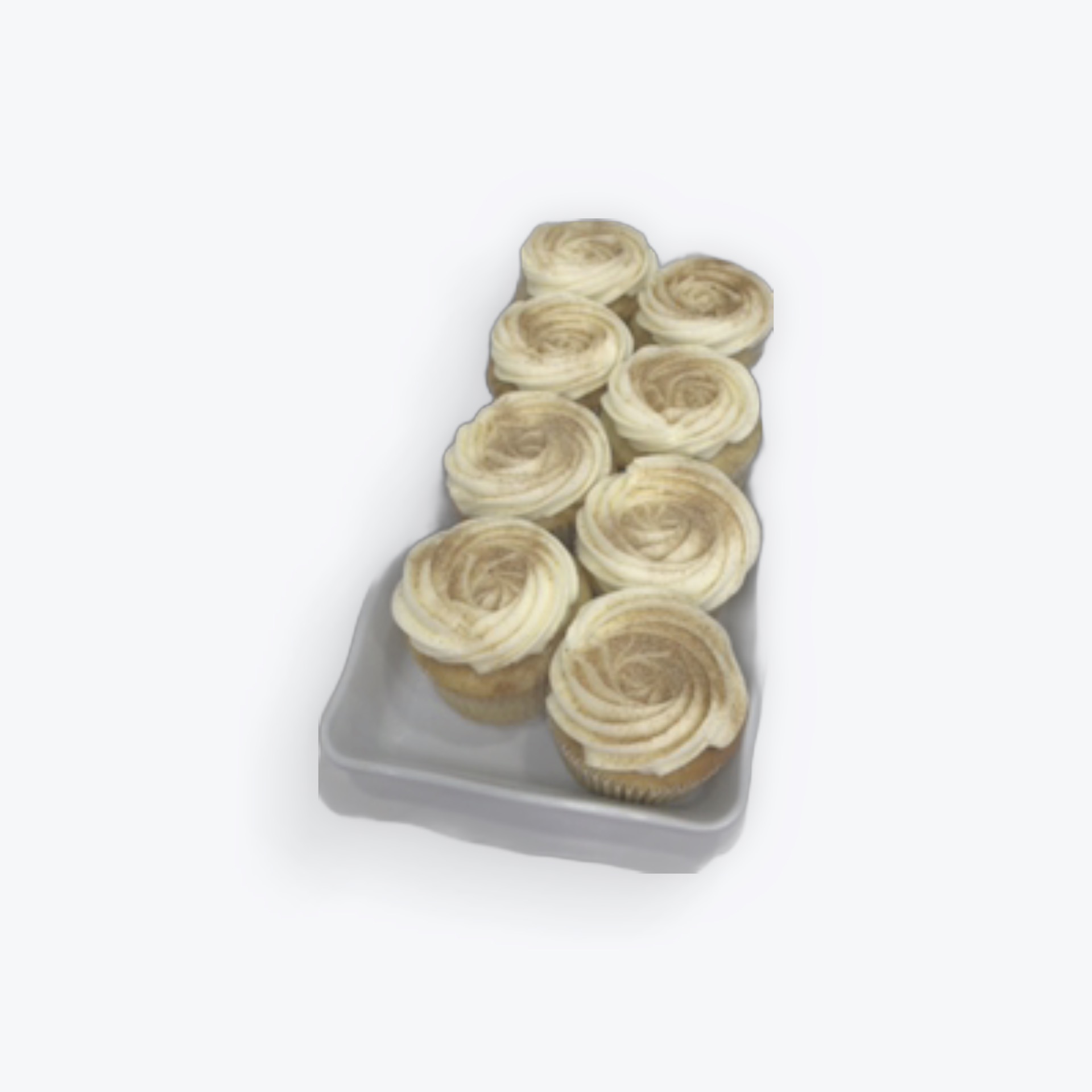 Single Snickerdoodle Cupcake