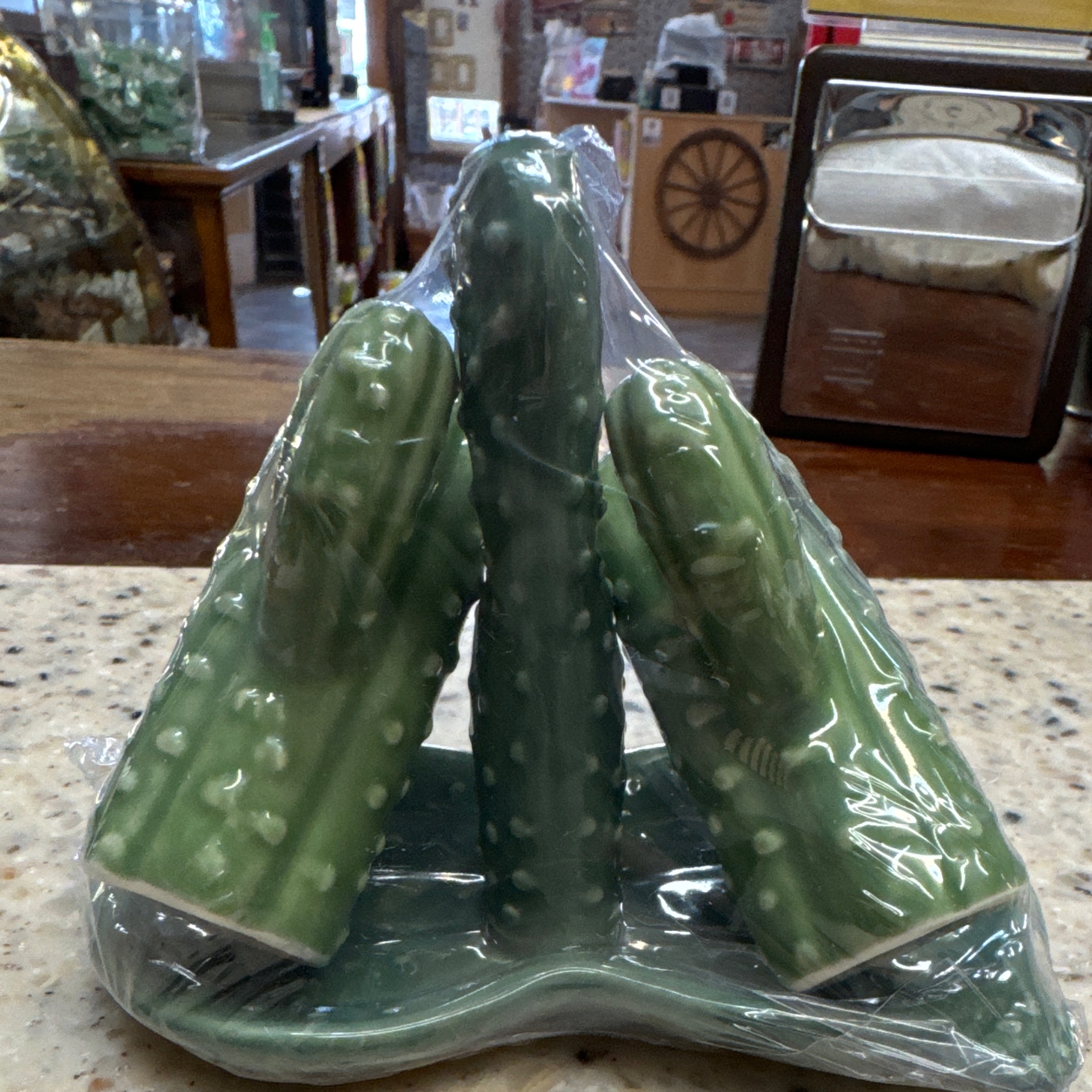 Cactus S&P 3PC Set