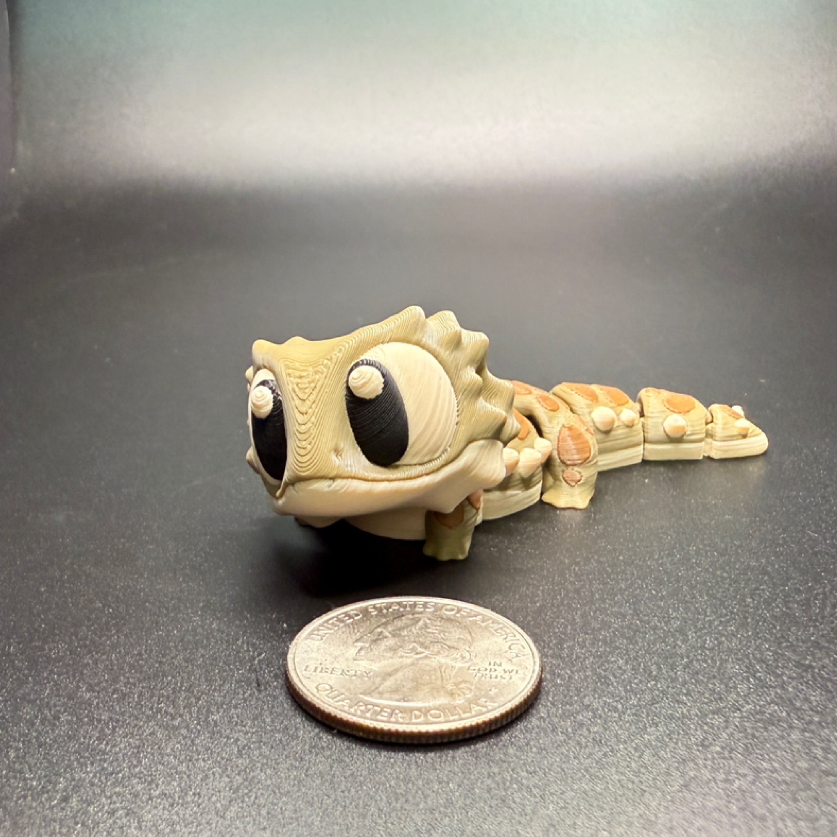 Baby bearded dragons