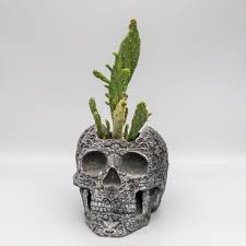 Skull Planter, 5"