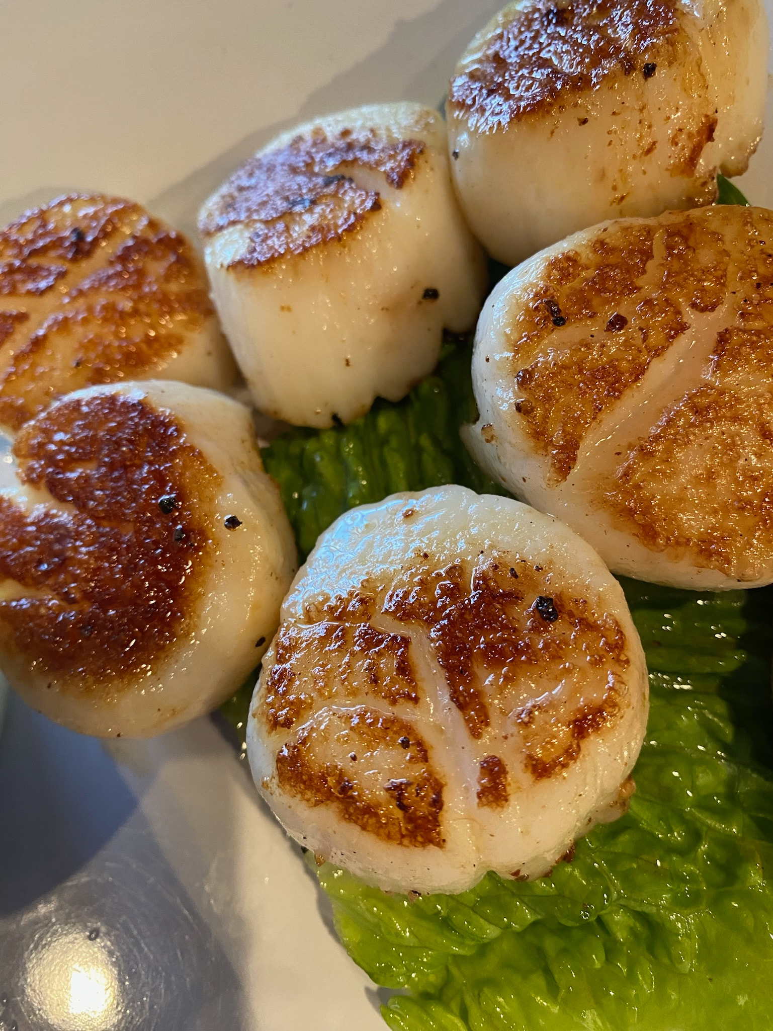 Scallop Dinner