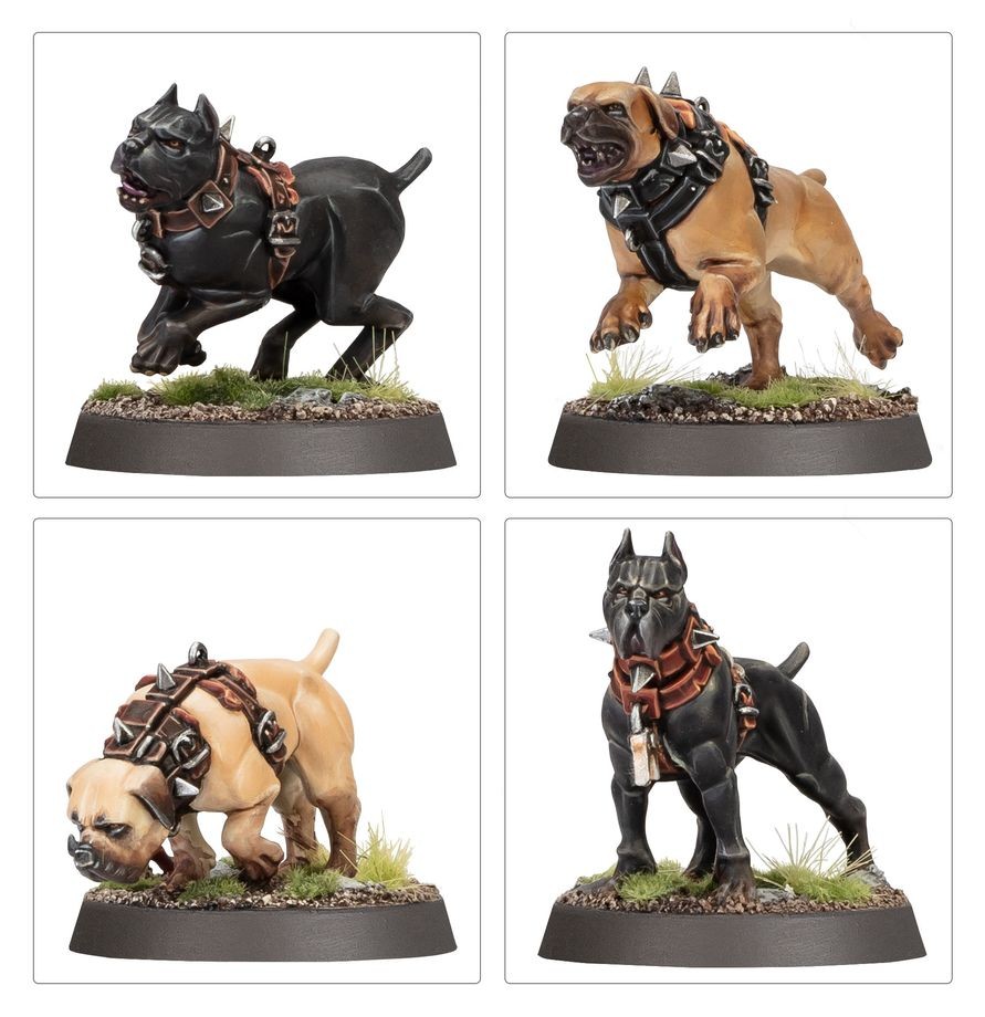 Cities of Sigmar: Ven Denst's Hounds thumbnail 3