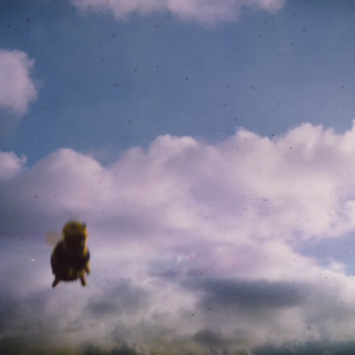 The Pond - Stung! by Unknown Artist - View 1