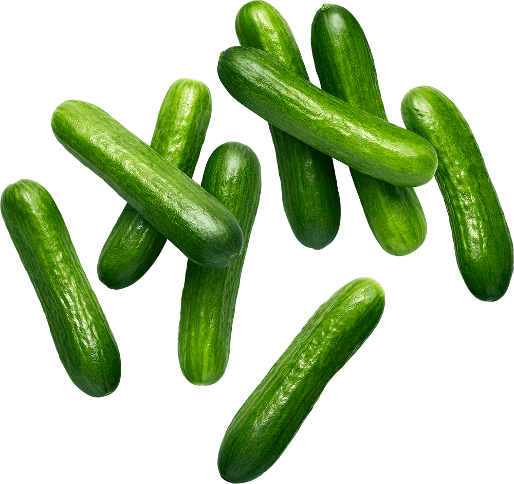 Cucumbers - Mini
