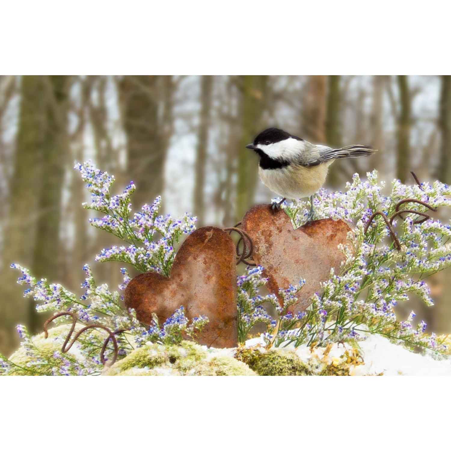 Rustic Love (Chickadee)