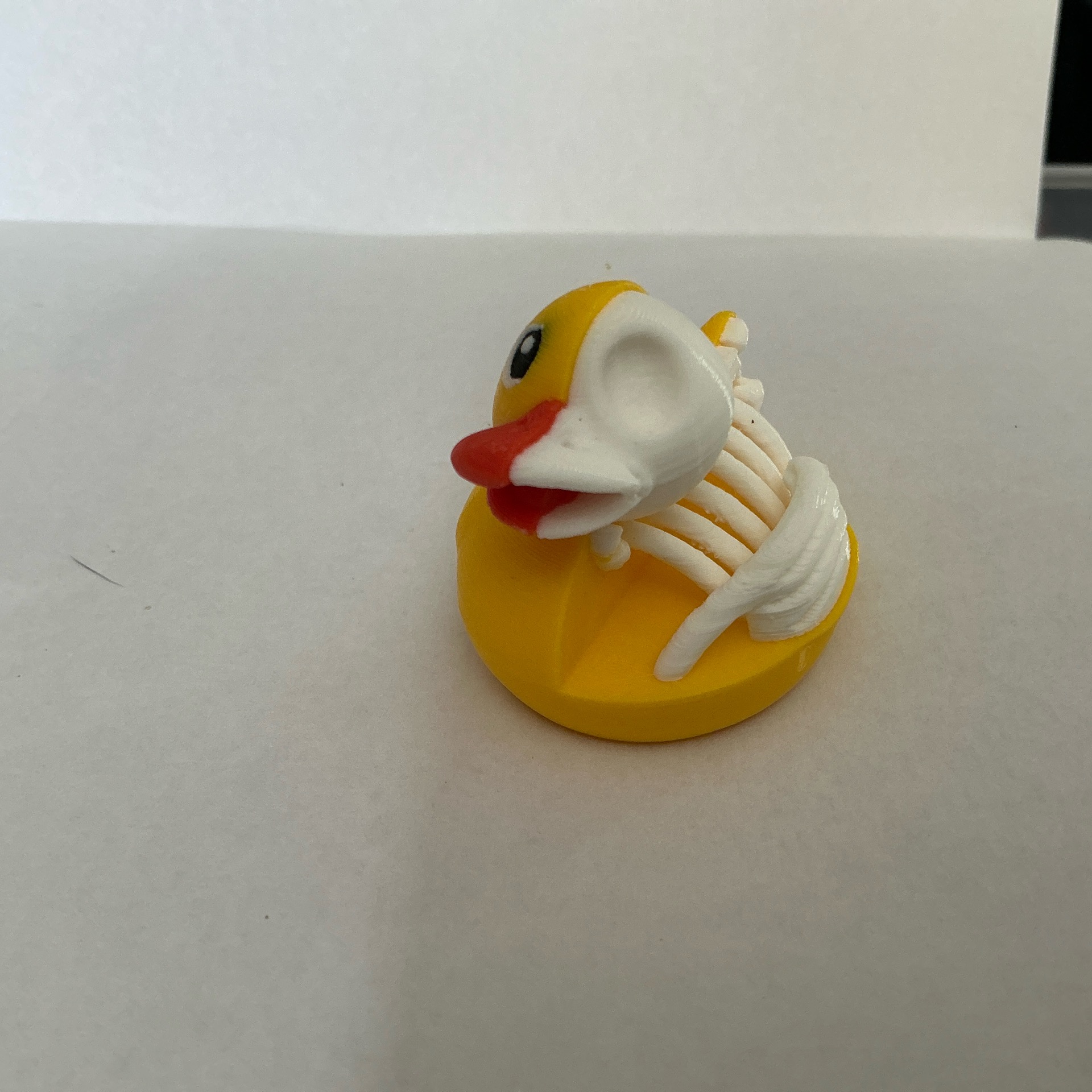 Dissected Skelton Duck