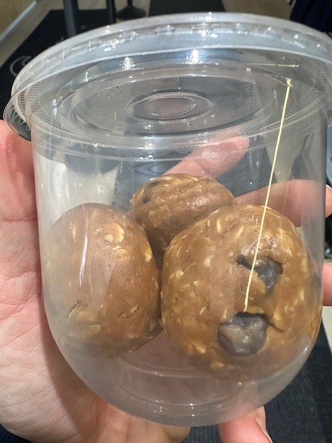 Protein Balls