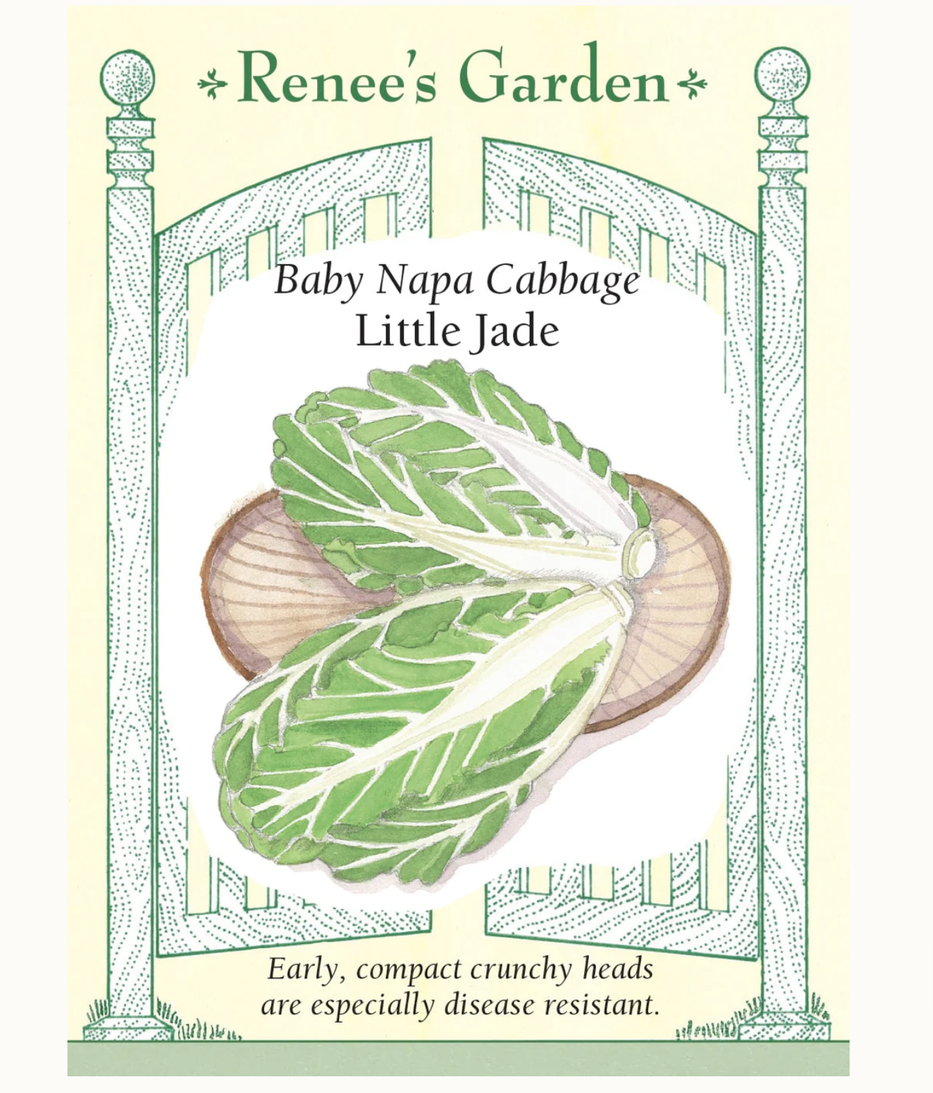 Renee's Garden | Baby Napa Cabbage Little Jade