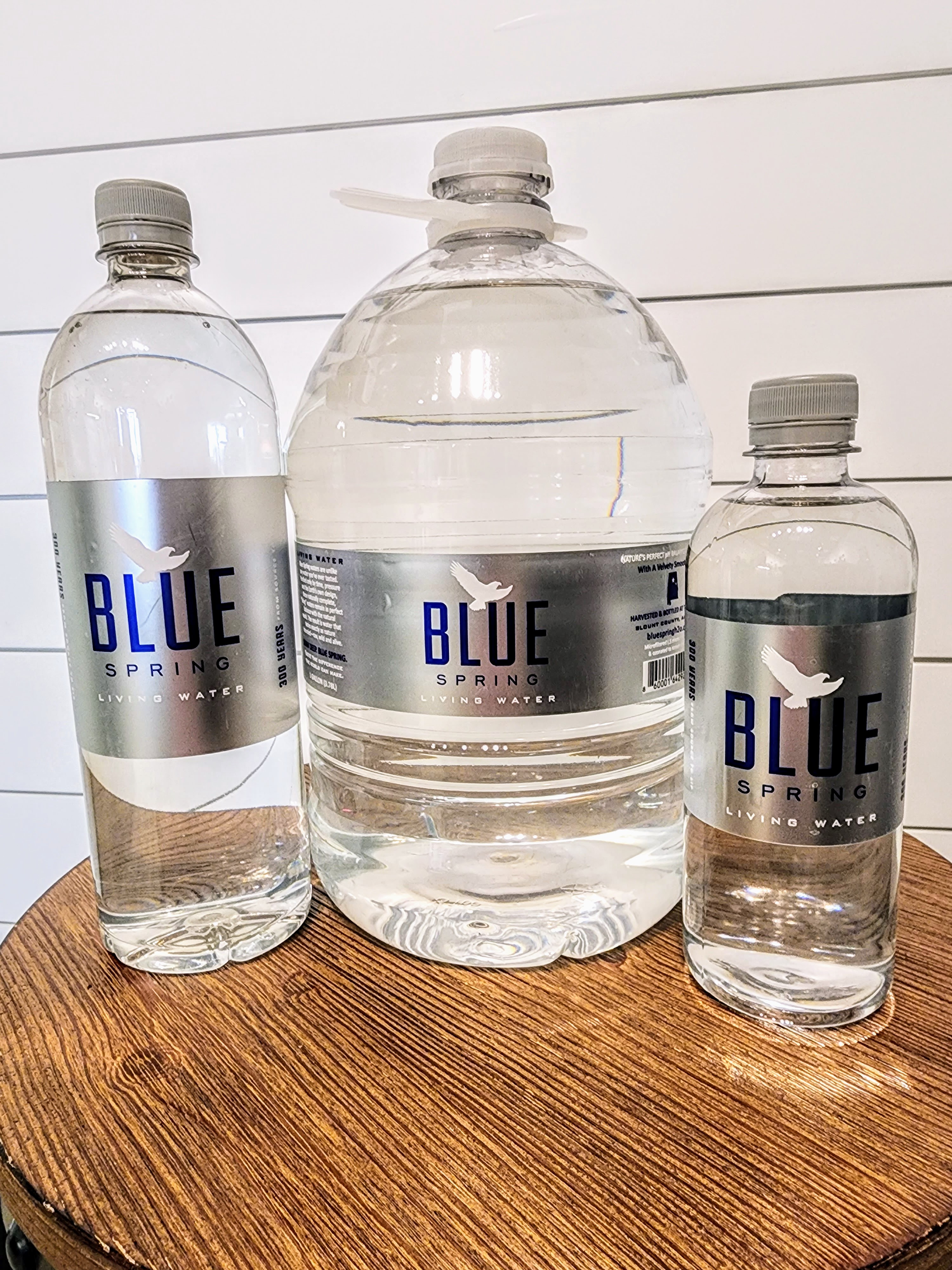 Blue Spring Living Water