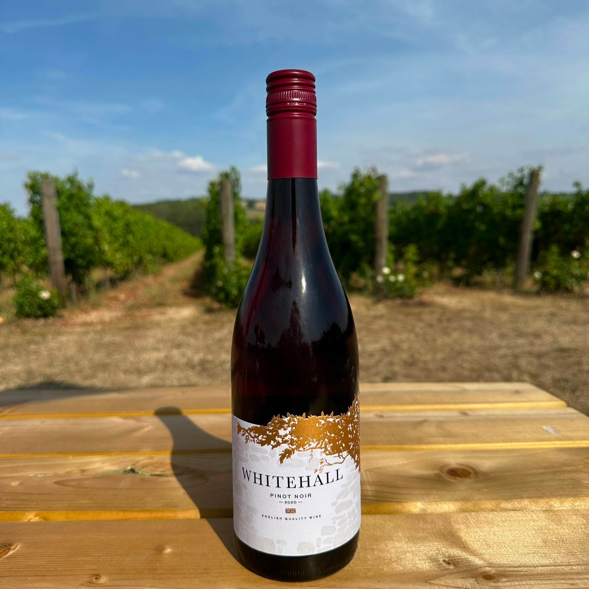 Pinot Noir