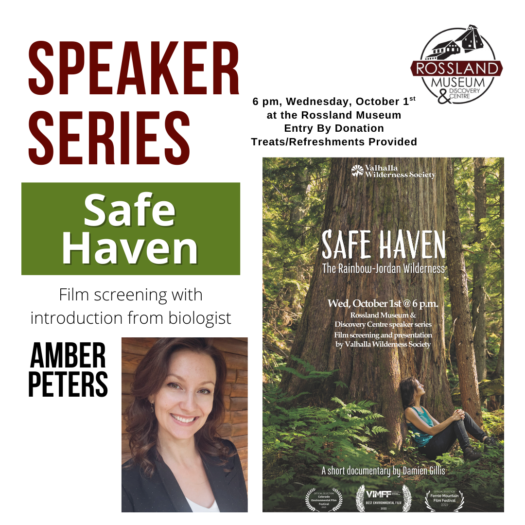 October Speaker Series with Amber Peters: Safe Haven