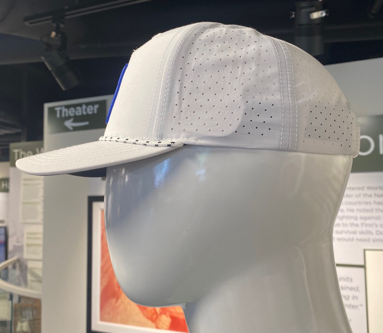 10th Mountain Division White Performance Hat