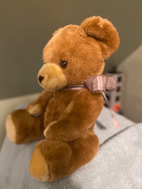 Light Brown Bear with Red Ribbon No Tags 10"x6"