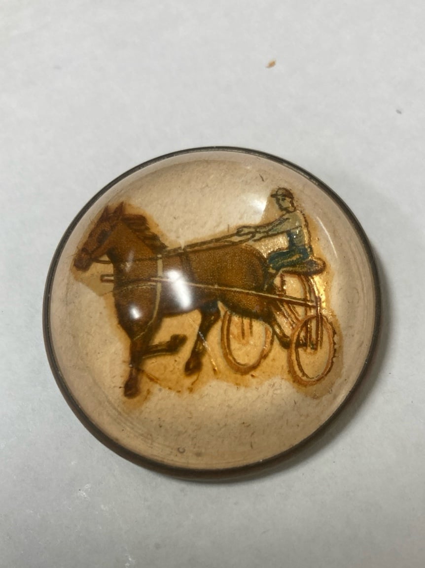 Antique Bridle Rosette or Brooch, likely from the Victorian era