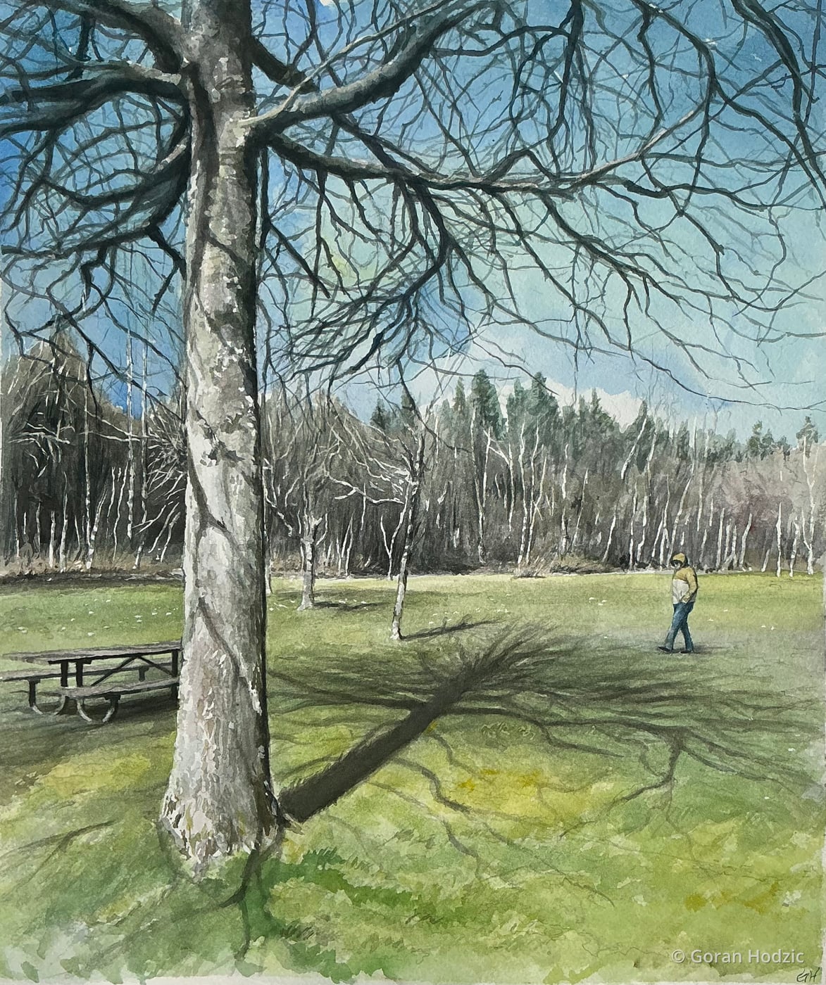 Long Lake Walk
