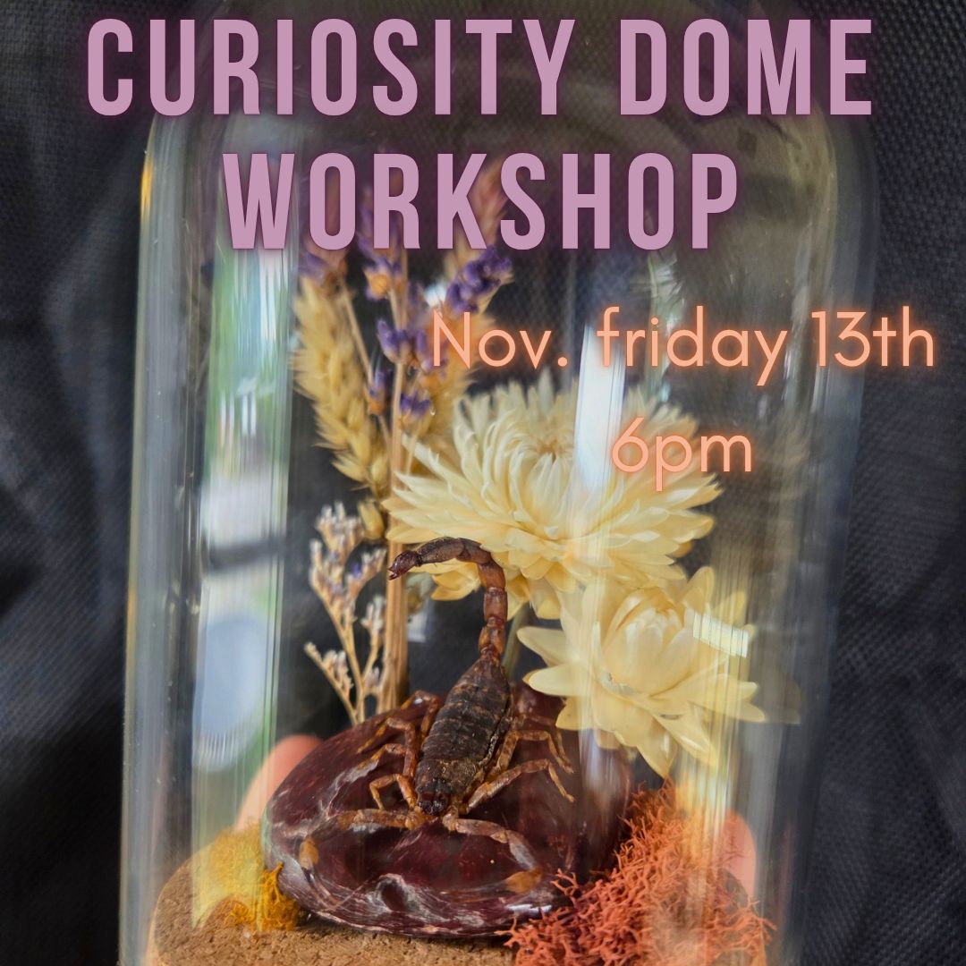 Curiosity Dome Workshop