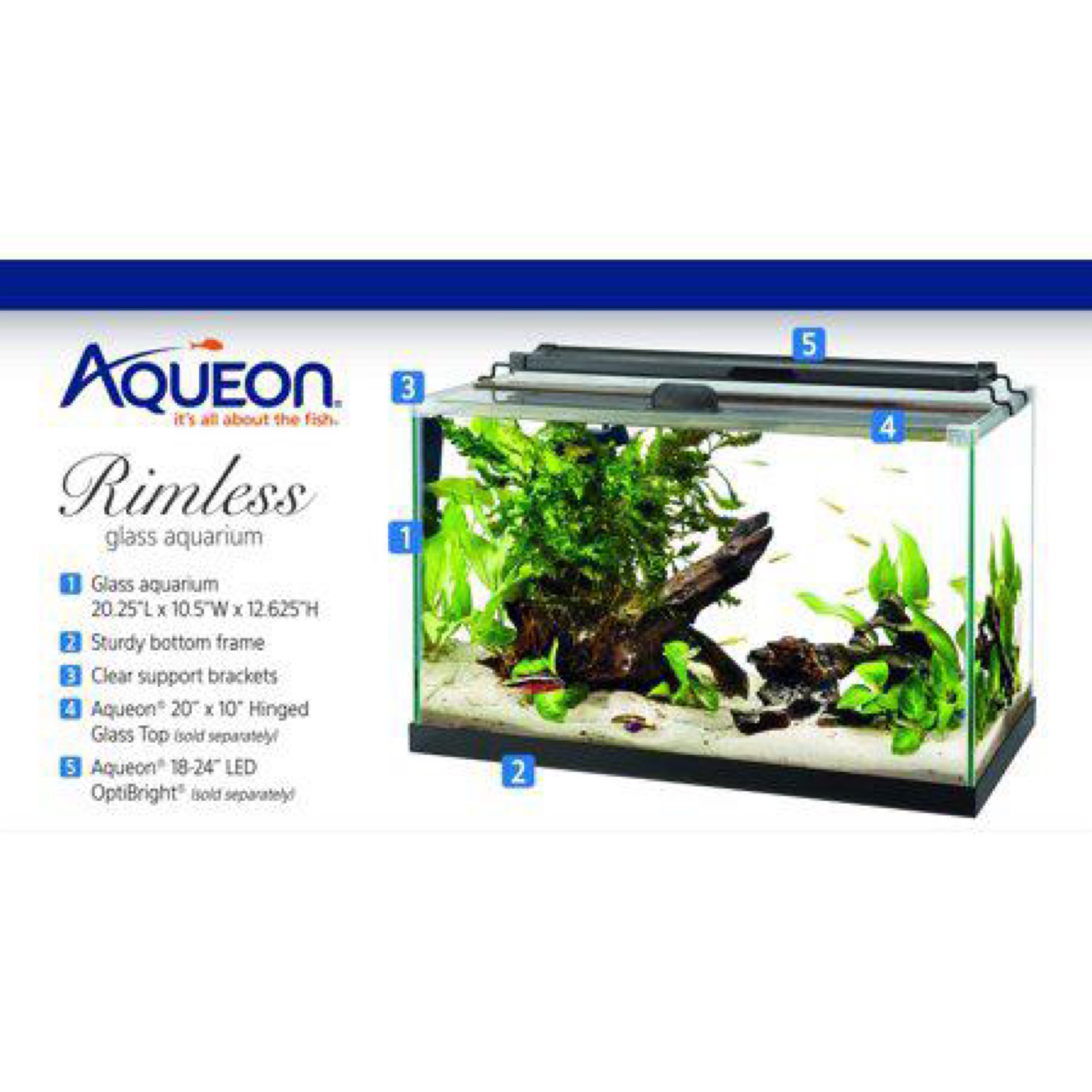 AqueonTank Rimless Rectangle