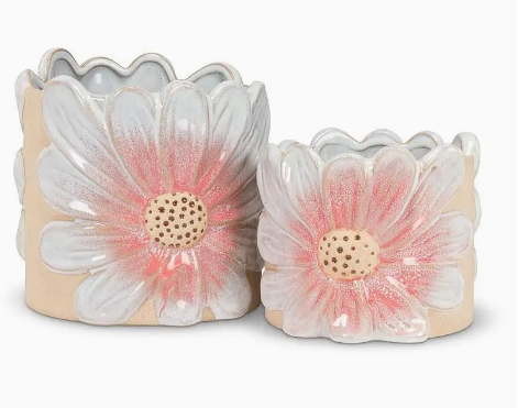 Pink Daisy Planter