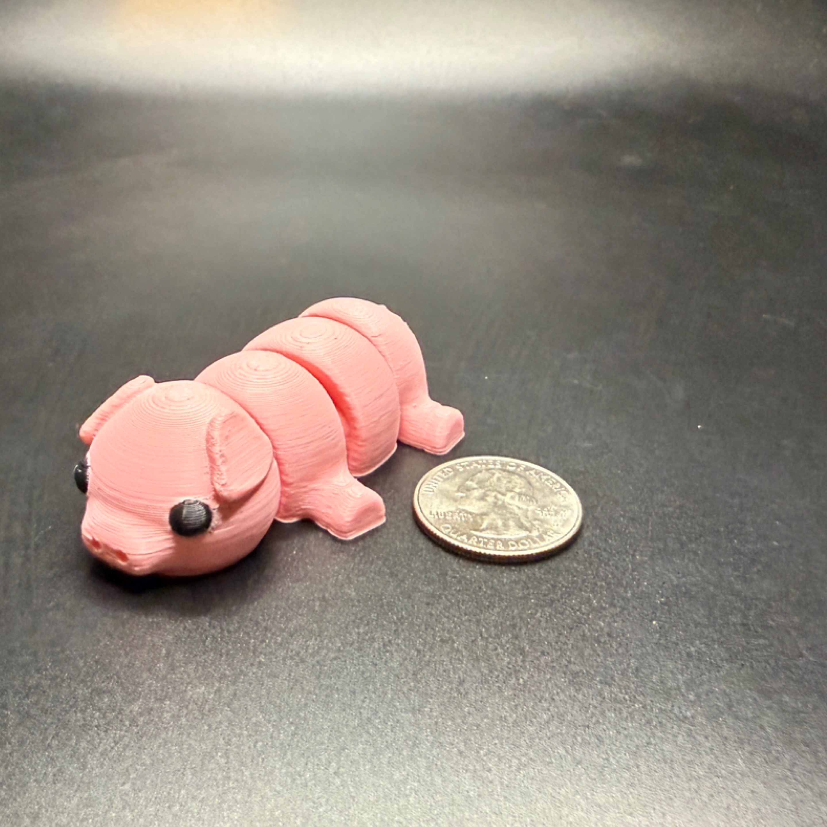 Mini pigs