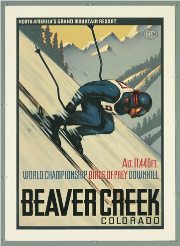 Beaver Creek Birds of Prey Poster
