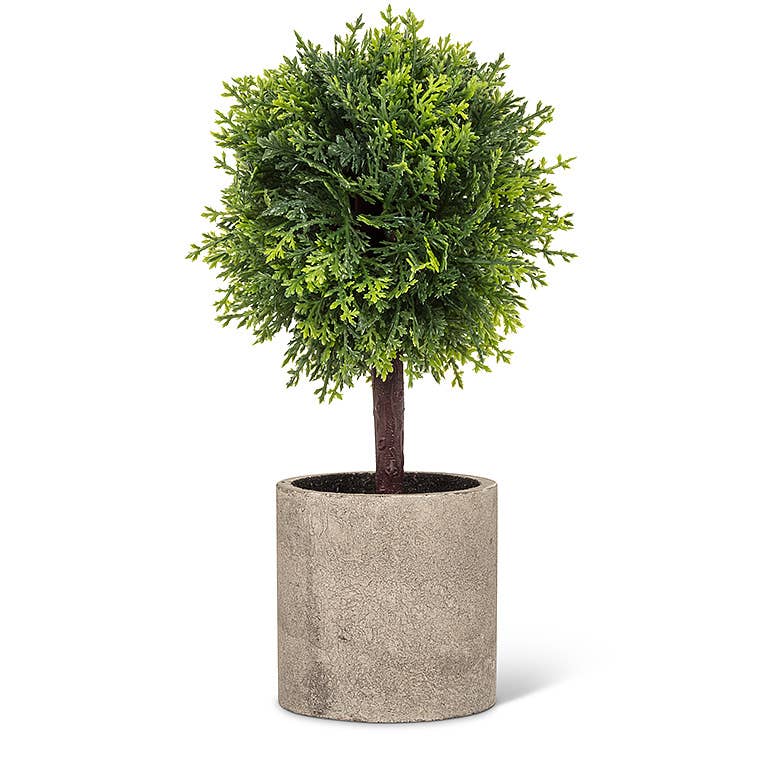 Green Conifer Topiary in Pot-9.5"H-3015