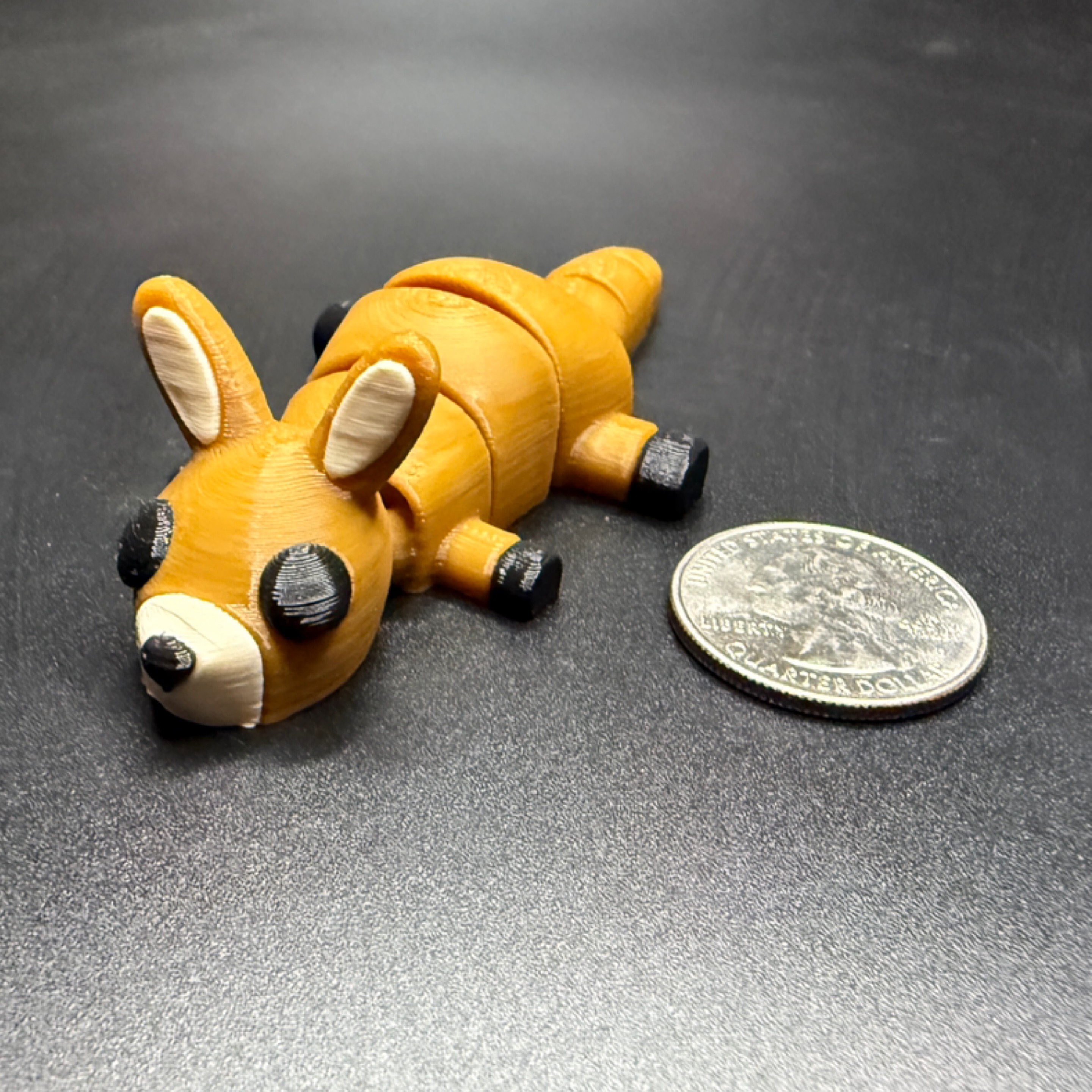 Mini kangaroo