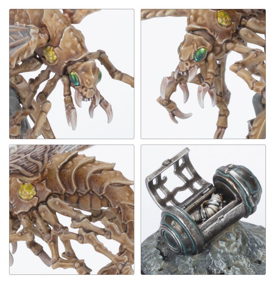 Ashwing Helamites thumbnail 4