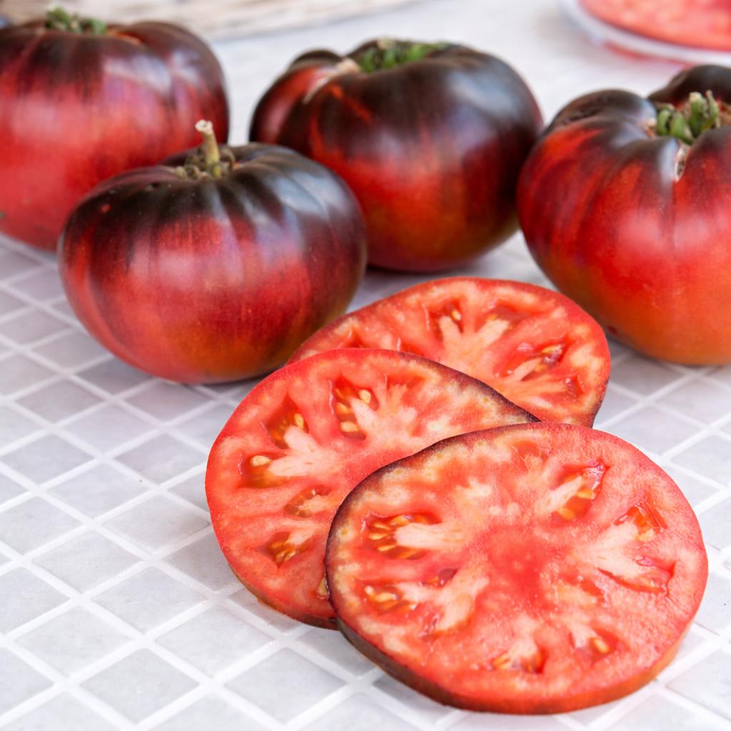 Blue Indigo Beauty Tomato - 2x Mini Plug Plants - Rare Purple/Blue Tomato