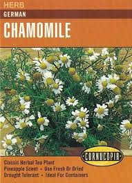 German Chamomile Seed Pack
