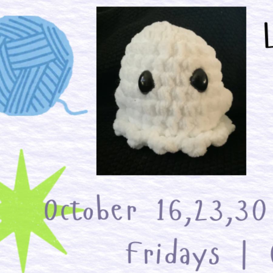 6 Week "Learn To Crochet" Series